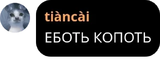 Sticker from гули омеги доминанты pack by @QuotLyBot