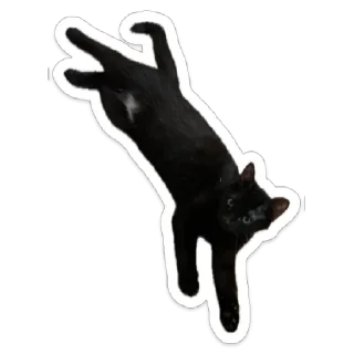 Sticker from Кот.Долбик