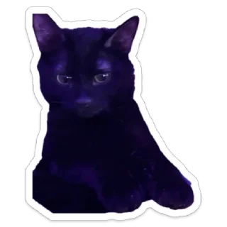 Sticker from Кот.Долбик