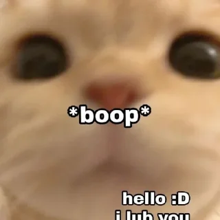 Sticker from Котики