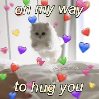 Sticker from Котики