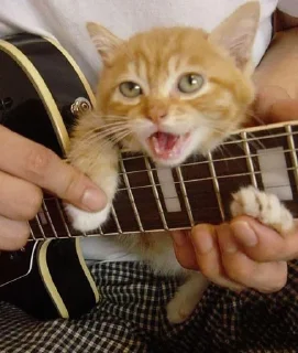 🎸 emoji 😻 Telegram sticker 22 of 120