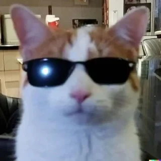 😎 emoji 😻 Telegram sticker 24 of 120