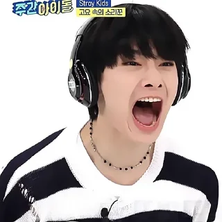 Sticker from stray kids @dragonshl