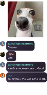 👉 emoji флуд pack by @QuotLyBot Telegram sticker 11 of 77