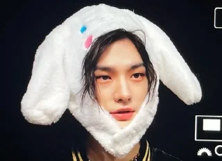 🐰 emoji Stray kids Telegram sticker 17 of 79