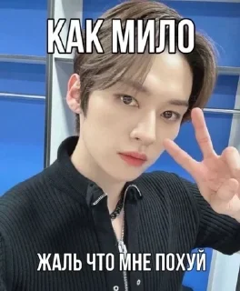 Sticker from Stray kids