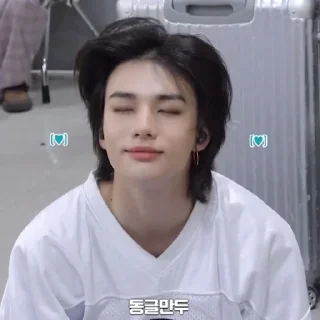 ☺ emoji Stray kids Telegram sticker 13 of 79