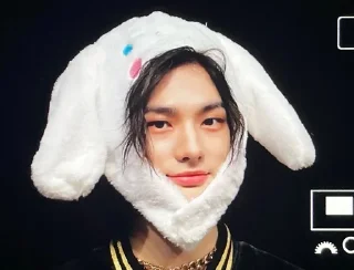 🐰 emoji Stray kids Telegram sticker 18 of 79