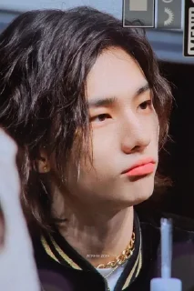 😕 emoji Stray kids Telegram sticker 16 of 79
