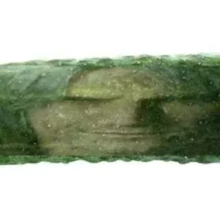 🥒 emoji Залупа демоническая @unclevergil Telegram sticker 22 of 113