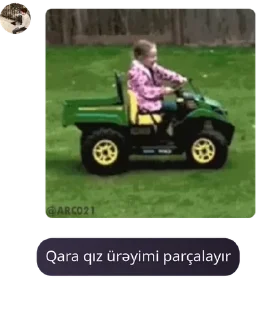 🟢 emoji Orxanın Qara qıza sevgisi Telegram sticker 16 of 17