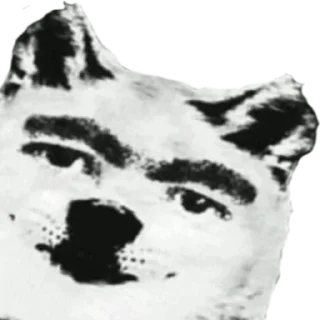 Sticker from Fluffy