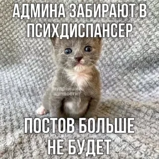 🌟 emoji Мемасы на все случаи жизни Telegram sticker 8 of 100