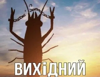 🌟 emoji Мемасы на все случаи жизни Telegram sticker 24 of 100