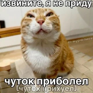 🌟 emoji Мемасы на все случаи жизни Telegram sticker 18 of 100