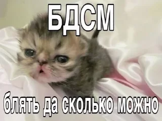 🌟 emoji Мемасы на все случаи жизни Telegram sticker 23 of 100