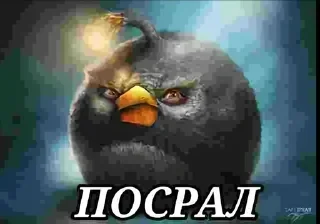 Sticker from На все случаи жизни