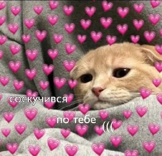 Sticker from На все случаи жизни