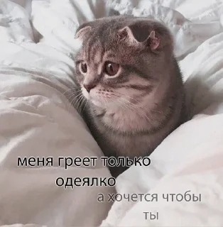 Sticker from На все случаи жизни