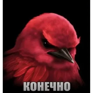 Sticker from Вряд-ли