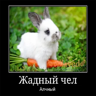 Sticker from Чел...