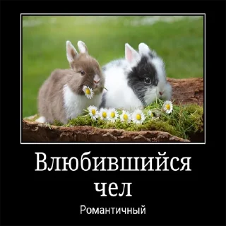 Sticker from Чел...