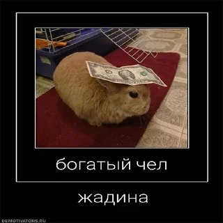 Sticker from Чел...