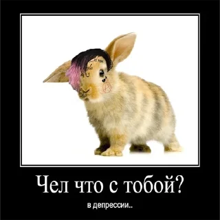 Sticker from Чел...