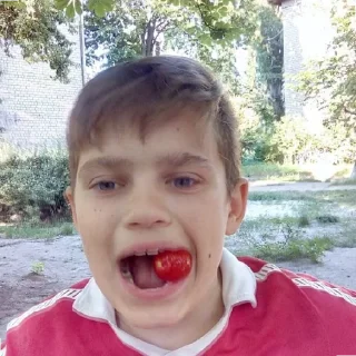 🍓 emoji Дизельный магазин палива Telegram sticker 11 of 35