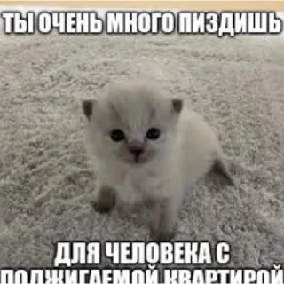 Sticker from Кто прочитает тот гей