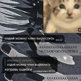 Sticker from Я гей 2-ой степени