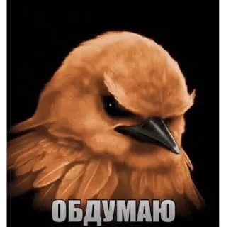 🌟 emoji за «ООО» Бещеки Telegram sticker 6 of 30