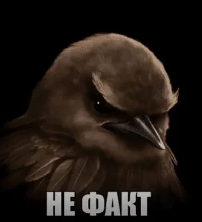 🌟 emoji за «ООО» Бещеки Telegram sticker 9 of 30
