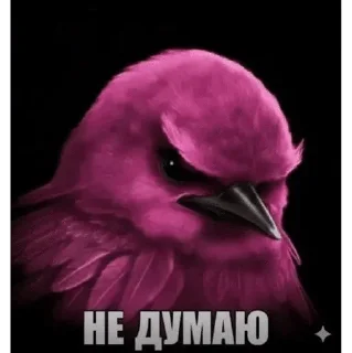 🌟 emoji за «ООО» Бещеки Telegram sticker 17 of 30