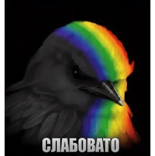 🌟 emoji за «ООО» Бещеки Telegram sticker 16 of 30