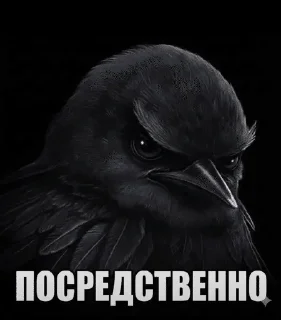 🌟 emoji за «ООО» Бещеки Telegram sticker 3 of 30