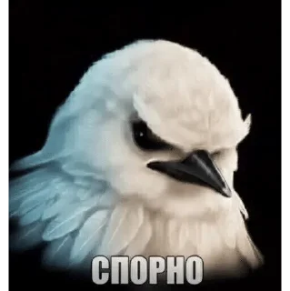 🌟 emoji за «ООО» Бещеки Telegram sticker 4 of 30