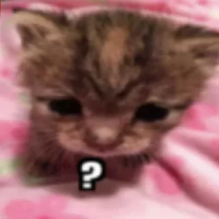 ❔ emoji ягандон 👋👋👋 ➡️ @Ctikerubot Telegram sticker 9 of 14