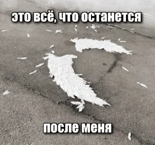 🪽 emoji еще че Telegram sticker 10 of 103
