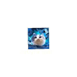 Sticker from стикеры осенего чата
