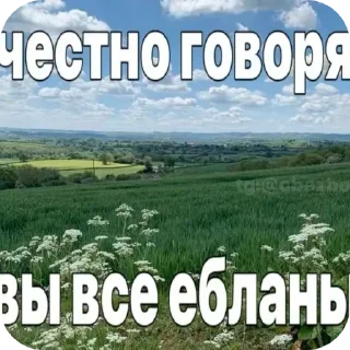 🖼 emoji Давай по новой Миша, всё хуйня Telegram sticker 13 of 61