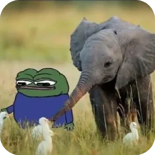🐘 emoji Давай по новой Миша, всё хуйня Telegram sticker 8 of 61