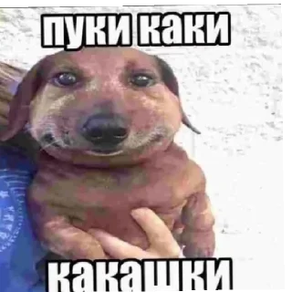 😄 emoji Нихуя Telegram sticker 9 of 26