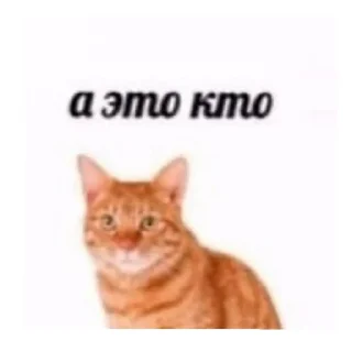 😄 emoji Нихуя Telegram sticker 19 of 26