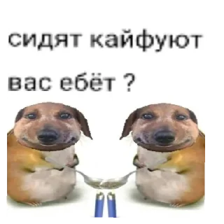 😄 emoji Нихуя Telegram sticker 10 of 26