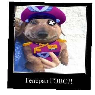 Sticker from Нихуя