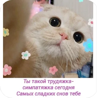Sticker from От Саши ду-сн🌅🌃