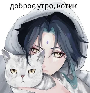 Sticker from Адепт Сяо 🤯