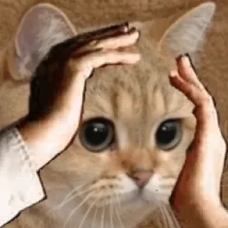 😯 emoji Пипяо — @stckrRobot Telegram sticker 14 of 95